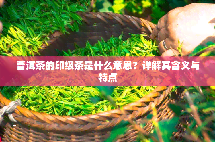 普洱茶的印级茶是什么意思？详解其含义与特点