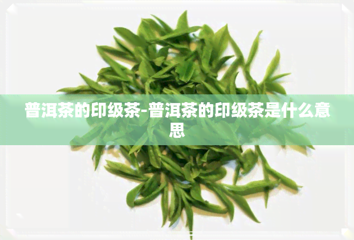 普洱茶的印级茶-普洱茶的印级茶是什么意思