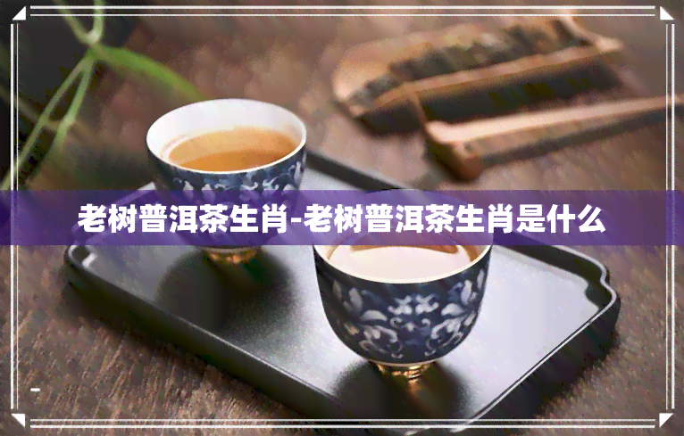 老树普洱茶生肖-老树普洱茶生肖是什么