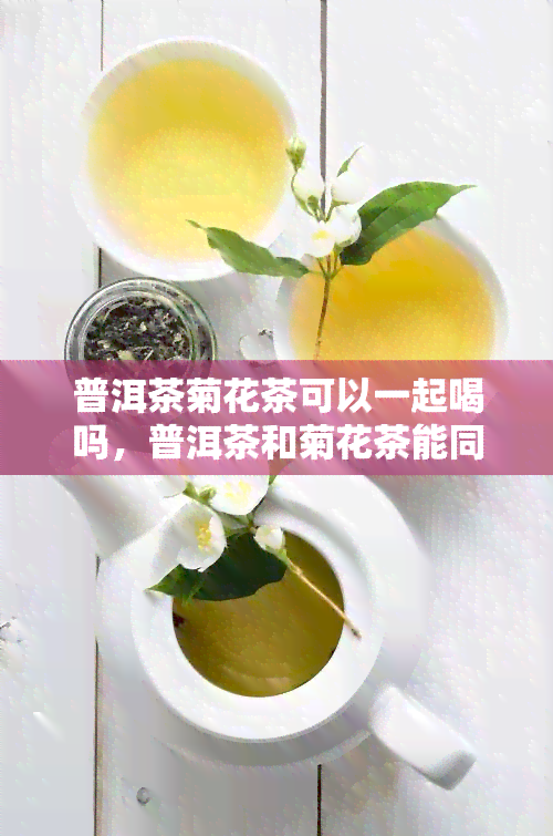 普洱茶菊花茶可以一起喝吗，普洱茶和菊花茶能同时饮用吗？