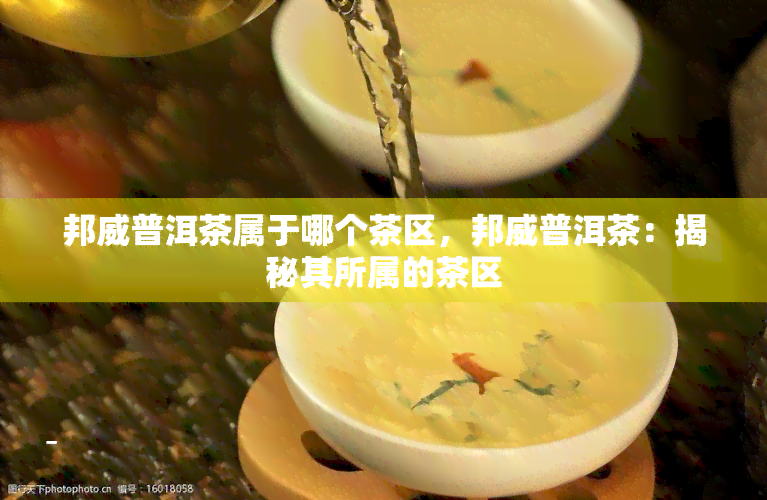 邦威普洱茶属于哪个茶区，邦威普洱茶：揭秘其所属的茶区