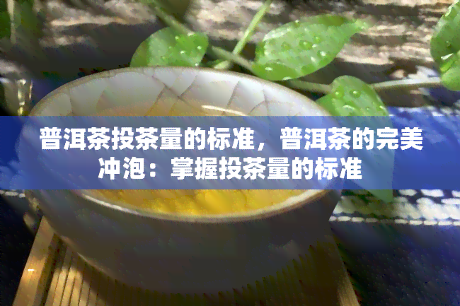 普洱茶投茶量的标准，普洱茶的完美冲泡：掌握投茶量的标准