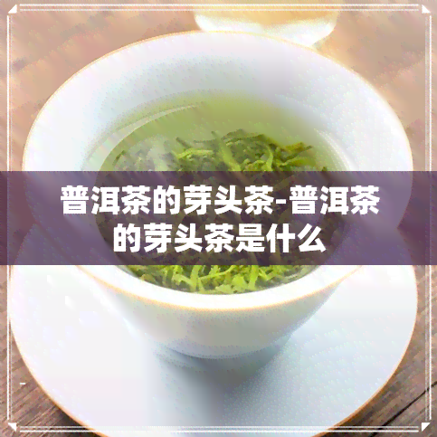 普洱茶的芽头茶-普洱茶的芽头茶是什么