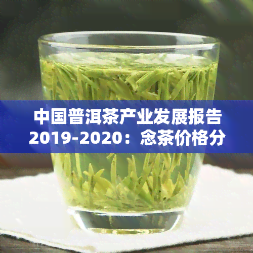 中国普洱茶产业发展报告2019-2020：念茶价格分析