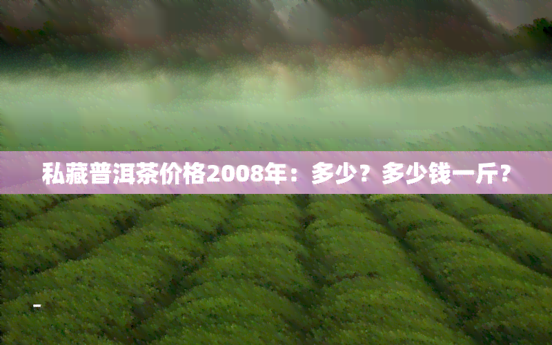 私藏普洱茶价格2008年：多少？多少钱一斤？