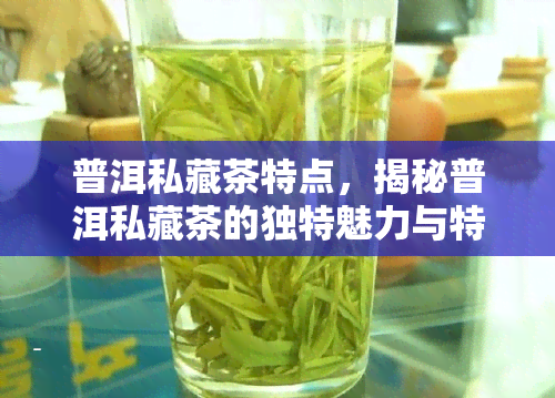 普洱私藏茶特点，揭秘普洱私藏茶的独特魅力与特点