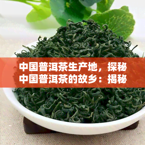 中国普洱茶生产地，探秘中国普洱茶的故乡：揭秘其产地和制作工艺