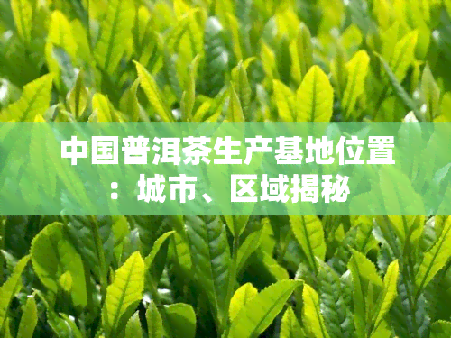 中国普洱茶生产基地位置：城市、区域揭秘