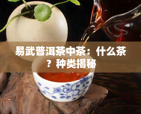 易武普洱茶中茶：什么茶？种类揭秘