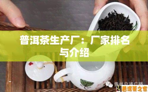 普洱茶生产厂：厂家排名与介绍