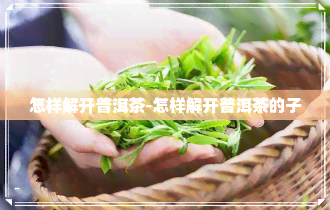 怎样解开普洱茶-怎样解开普洱茶的子