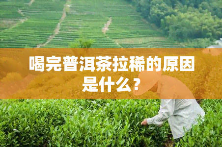 喝完普洱茶拉稀的原因是什么？