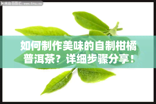 如何制作美味的自制柑橘普洱茶？详细步骤分享！