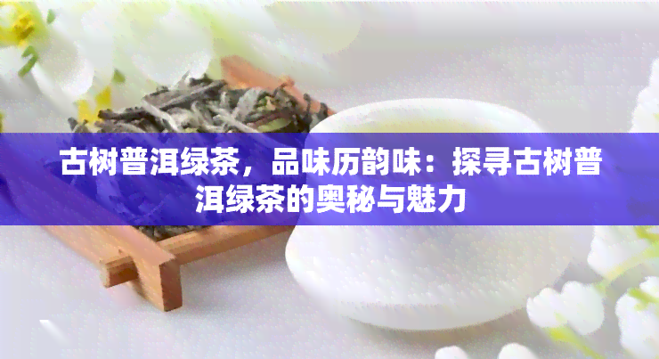 古树普洱绿茶，品味历韵味：探寻古树普洱绿茶的奥秘与魅力