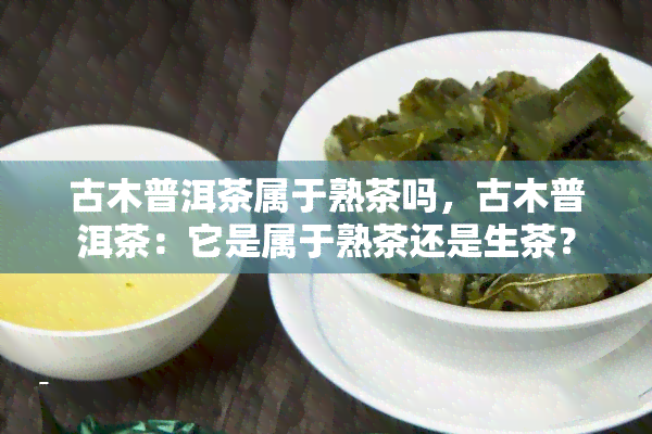 古木普洱茶属于熟茶吗，古木普洱茶：它是属于熟茶还是生茶？