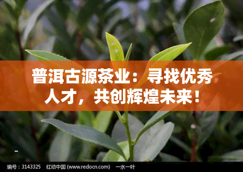 普洱古源茶业：寻找优秀人才，共创辉煌未来！