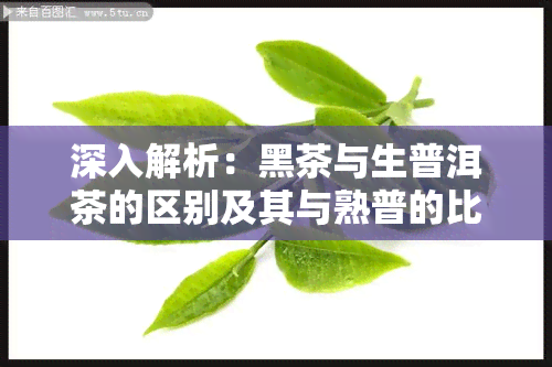 深入解析：黑茶与生普洱茶的区别及其与熟普的比较