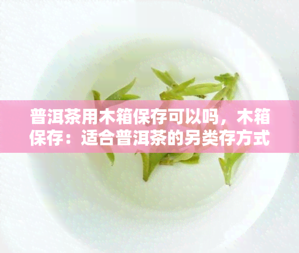 普洱茶用木箱保存可以吗，木箱保存：适合普洱茶的另类存方式？