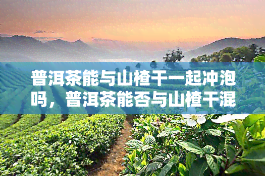 普洱茶能与山楂干一起冲泡吗，普洱茶能否与山楂干混搭？专家解析