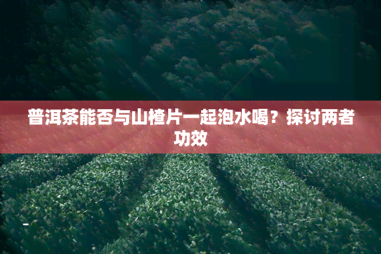 普洱茶能否与山楂片一起泡水喝？探讨两者功效