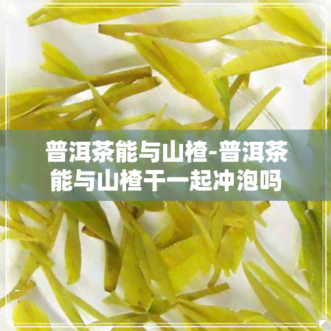 普洱茶能与山楂-普洱茶能与山楂干一起冲泡吗