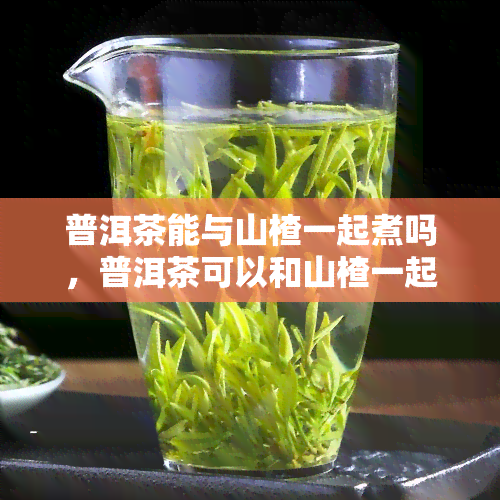 普洱茶能与山楂一起煮吗，普洱茶可以和山楂一起煮吗？探讨这种搭配的健益处