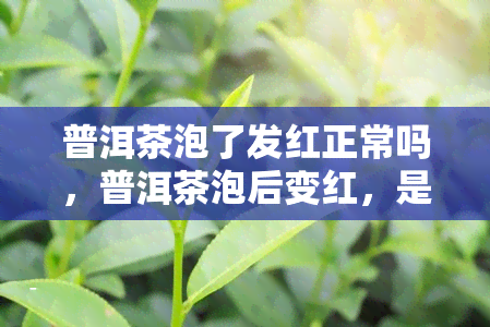 普洱茶泡了发红正常吗，普洱茶泡后变红，是否正常？