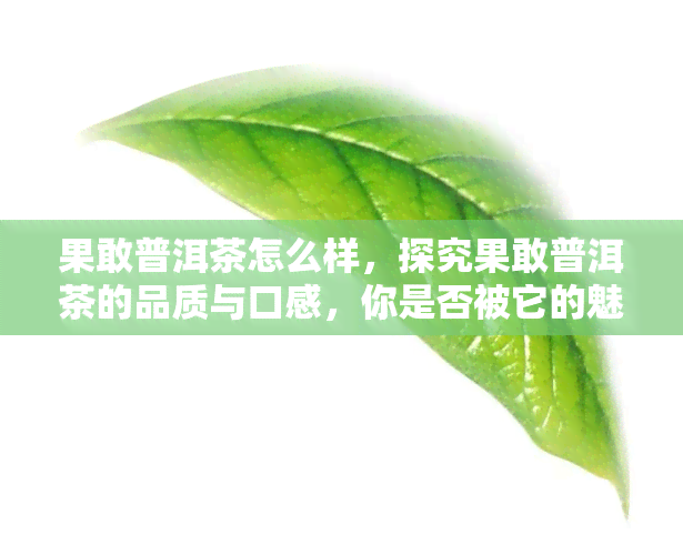 果敢普洱茶怎么样，探究果敢普洱茶的品质与口感，你是否被它的魅力所吸引？