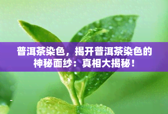 普洱茶染色，揭开普洱茶染色的神秘面纱：真相大揭秘！