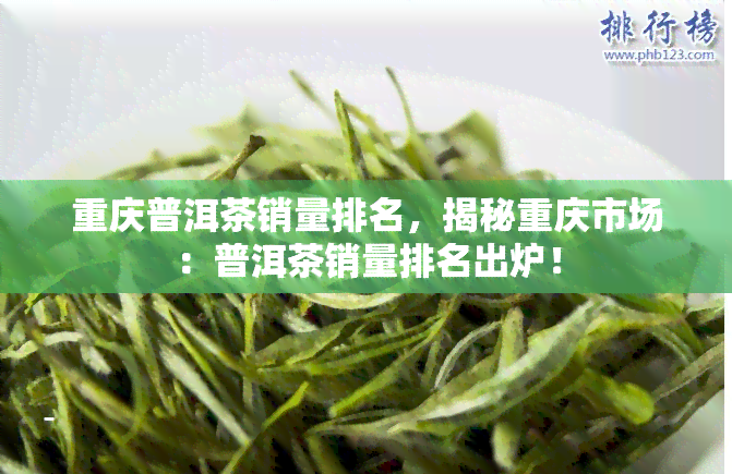 重庆普洱茶销量排名，揭秘重庆市场：普洱茶销量排名出炉！