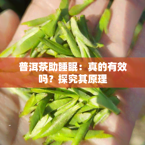 普洱茶助睡眠：真的有效吗？探究其原理