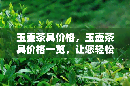 玉壶茶具价格，玉壶茶具价格一览，让您轻松选购心仪茶具！