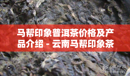 马帮印象普洱茶价格及产品介绍 - 云南马帮印象茶业