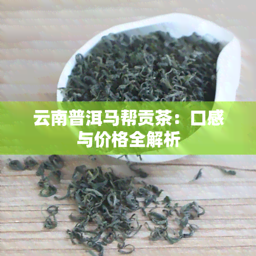 云南普洱马帮贡茶：口感与价格全解析