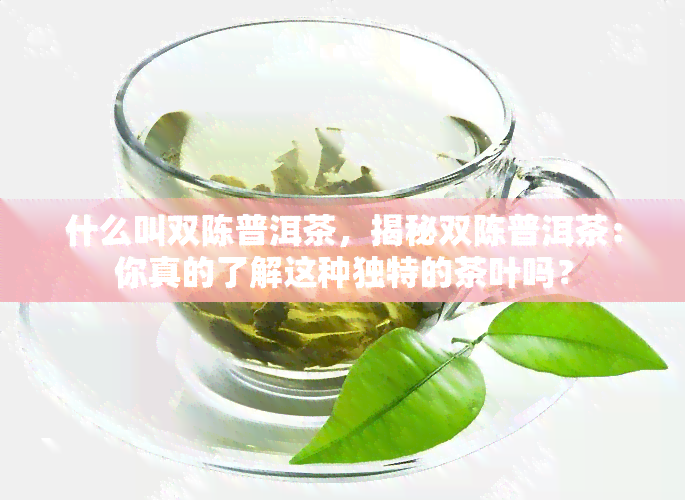 什么叫双陈普洱茶，揭秘双陈普洱茶：你真的了解这种独特的茶叶吗？