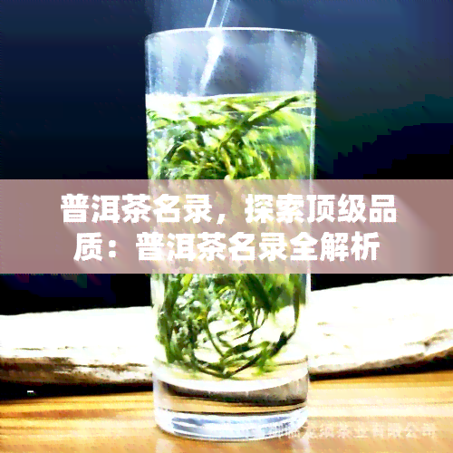 普洱茶名录，探索顶级品质：普洱茶名录全解析