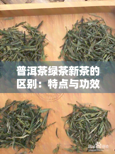 普洱茶绿茶新茶的区别：特点与功效解析