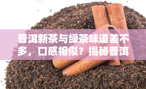 普洱新茶与绿茶味道差不多，口感相似？揭秘普洱新茶与绿茶的口味异同