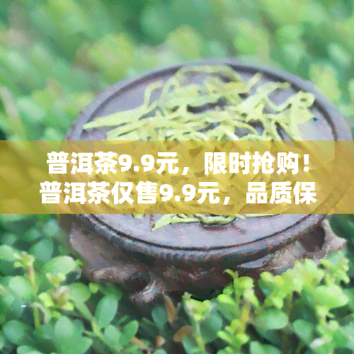 普洱茶9.9元，限时抢购！普洱茶仅售9.9元，品质保证，赶快入手吧！