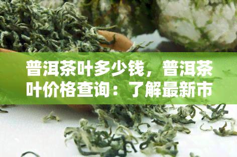 普洱茶叶多少钱，普洱茶叶价格查询：了解最新市场行情！