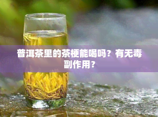 普洱茶里的茶梗能喝吗？有无副作用？