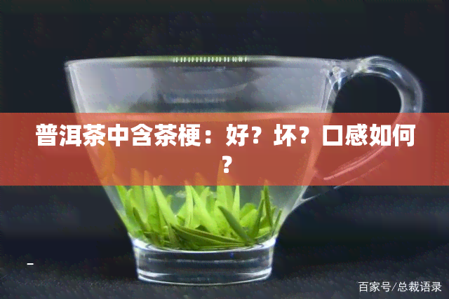 普洱茶中含茶梗：好？坏？口感如何？