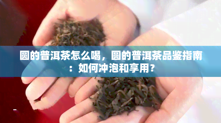 圆的普洱茶怎么喝，圆的普洱茶品鉴指南：如何冲泡和享用？