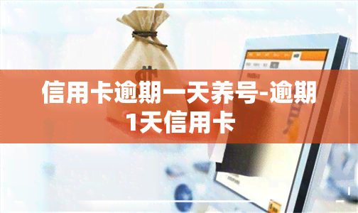 信用卡逾期一天养号-逾期1天信用卡