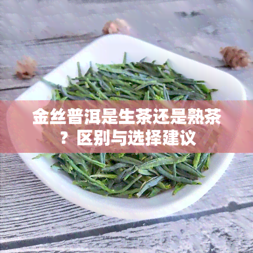 金丝普洱是生茶还是熟茶？区别与选择建议