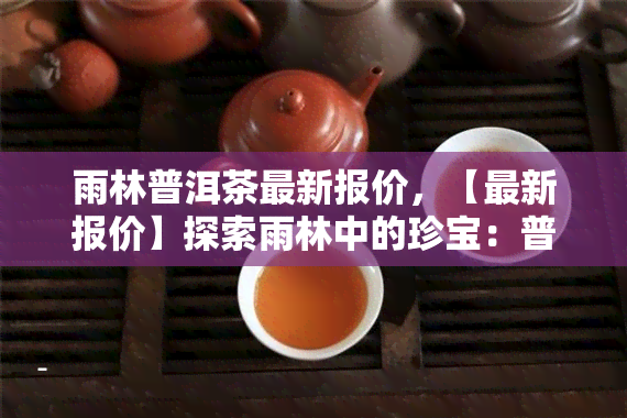 雨林普洱茶最新报价，【最新报价】探索雨林中的珍宝：普洱茶的价格解析