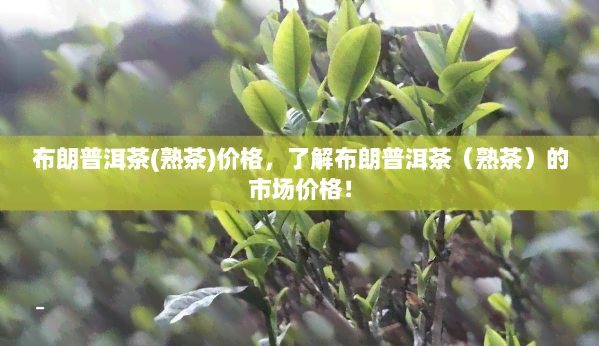 布朗普洱茶(熟茶)价格，了解布朗普洱茶（熟茶）的市场价格！