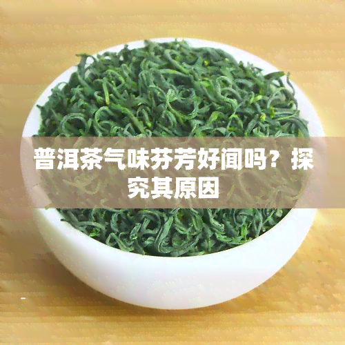 普洱茶气味芬芳好闻吗？探究其原因