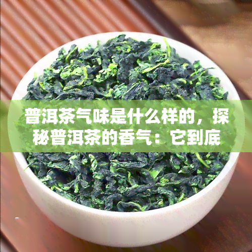 普洱茶气味是什么样的，探秘普洱茶的香气：它到底是什么味道？