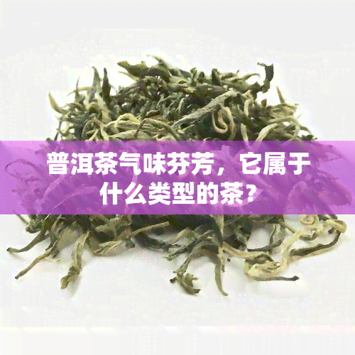 普洱茶气味芬芳，它属于什么类型的茶？